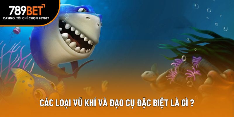 Các loại vũ khí và đạo cụ đặc biệt là gì?