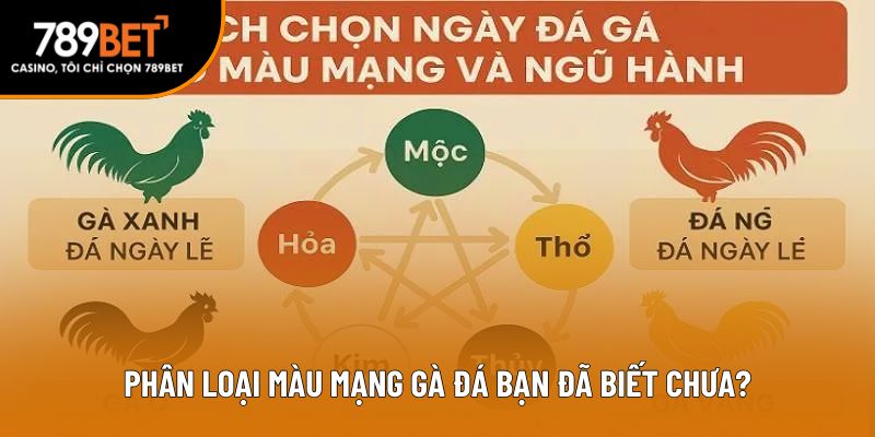 Phân loại màu mạng gà đá bạn đã biết chưa?